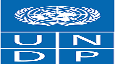 UNDP Vacancies 1