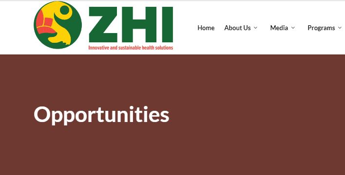 ZHI Vacancies in Zimbabwe 1