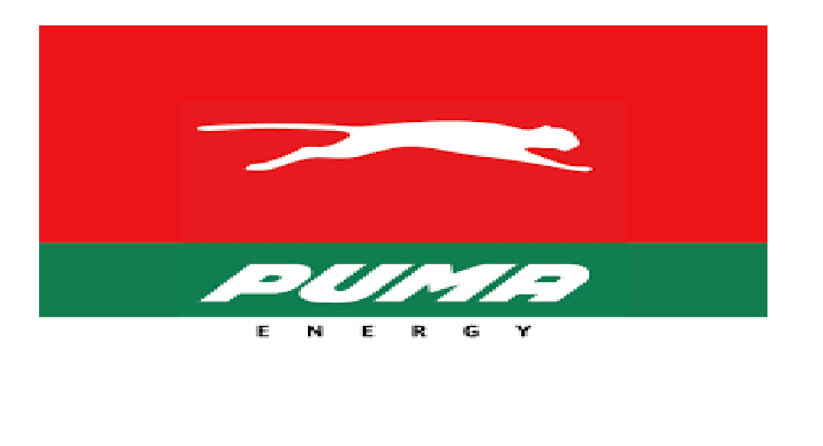 Puma Vacancies