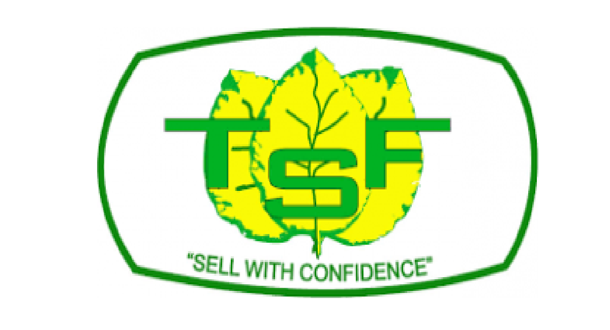 TSF Vacancies