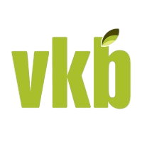 vkb group logo Photoroom